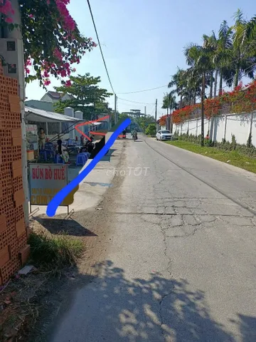 Bất động sản tại Bình Dương - ảnh 1