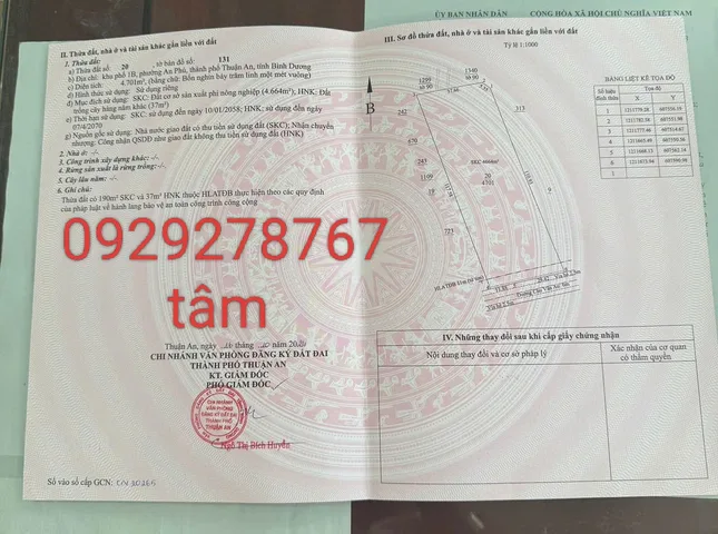 Bất động sản tại Bình Dương - ảnh 1