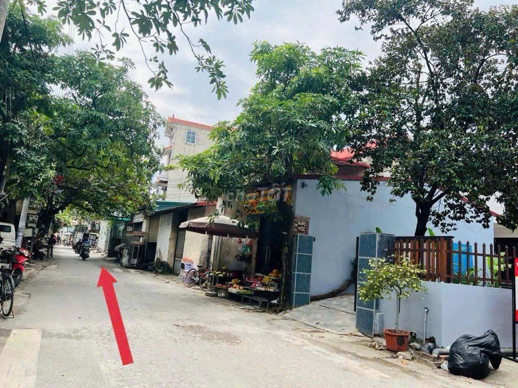 Nhà riêng tại Đông Anh, Hà Nội - ảnh 3