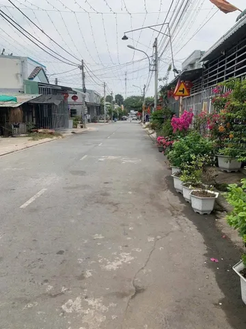 Bất động sản tại Bình Dương - ảnh 1