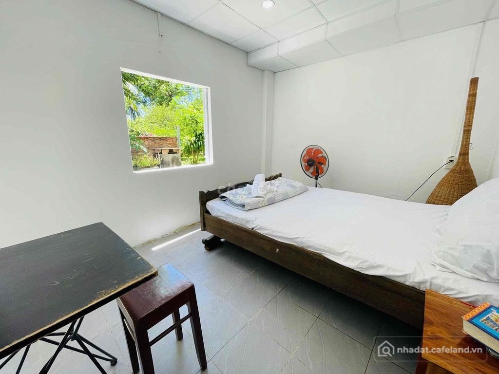 Bất động sản tại Đắk Lắk - ảnh 1