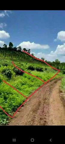 Bất động sản tại Đắk Lắk - ảnh 1