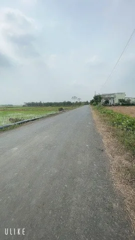 Bất động sản tại Long An - ảnh 1