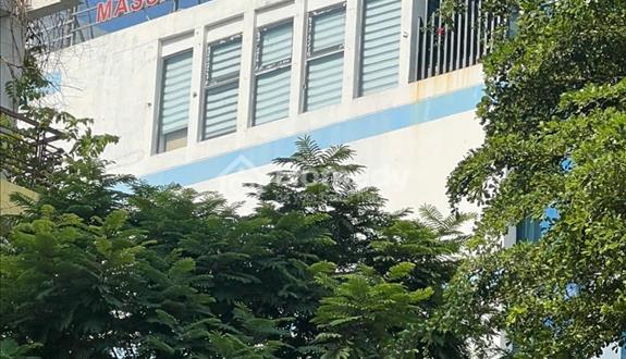 Bất động sản tại Đà Nẵng - ảnh 1
