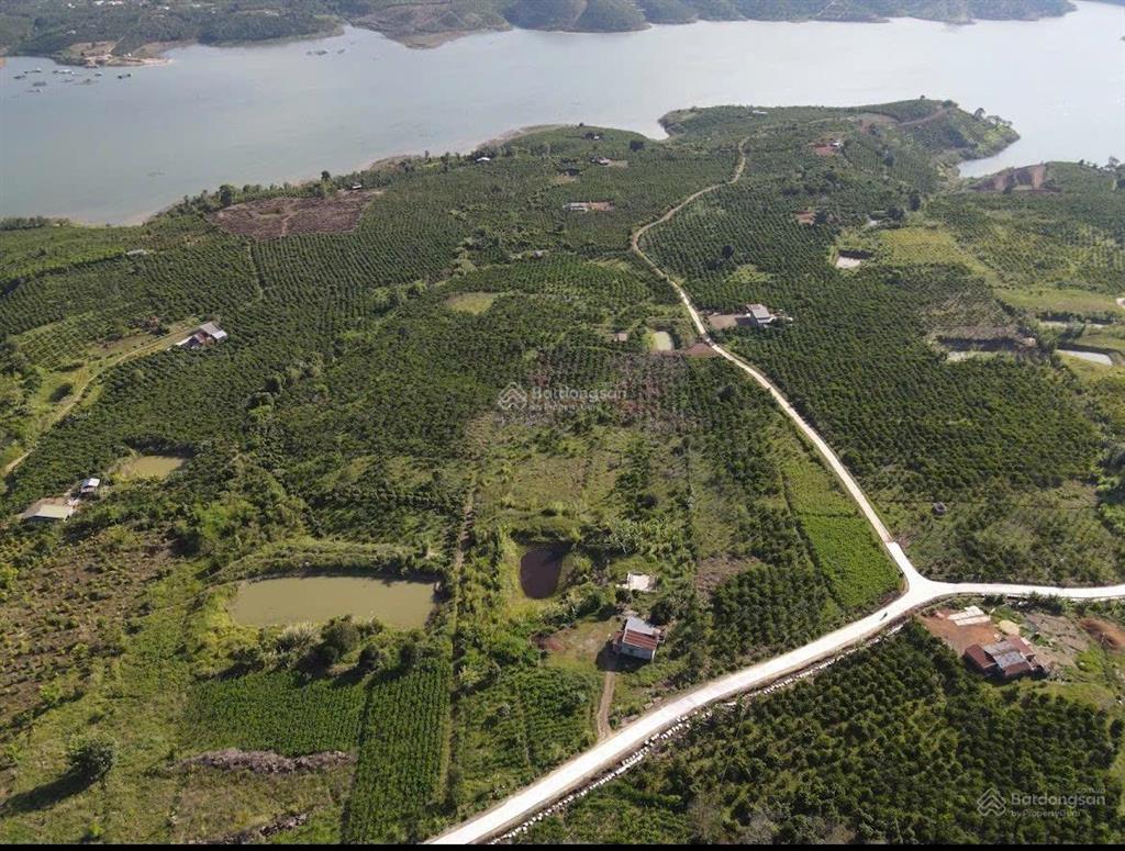 Bất động sản tại Lâm Đồng - ảnh 1