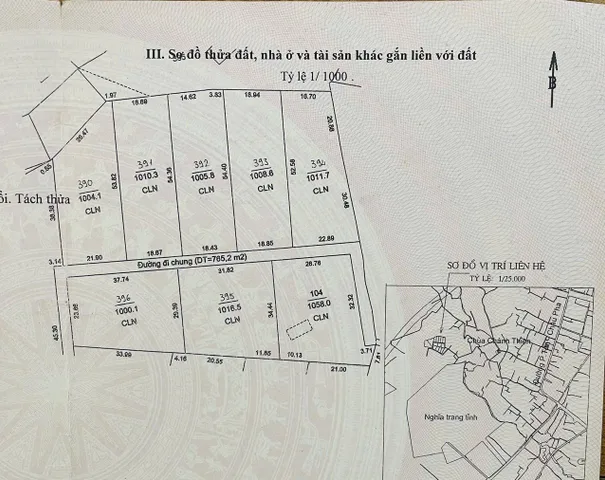 Bất động sản tại TP. Hồ Chí Minh - ảnh 1