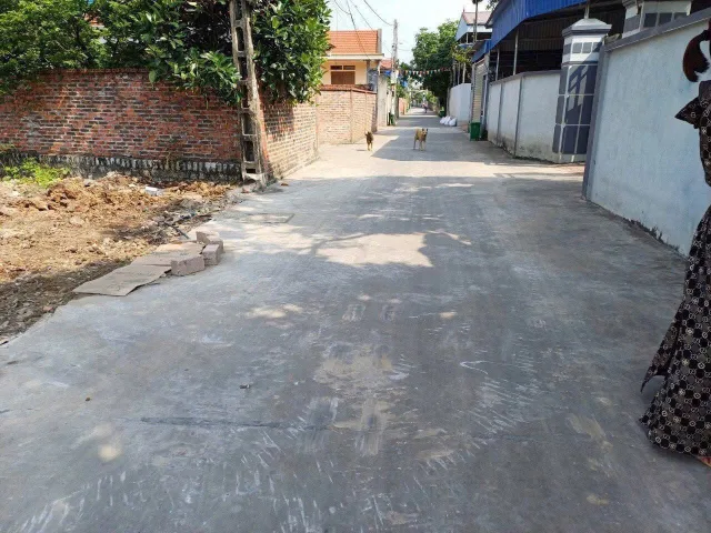 Bất động sản tại Hải Phòng - ảnh 1