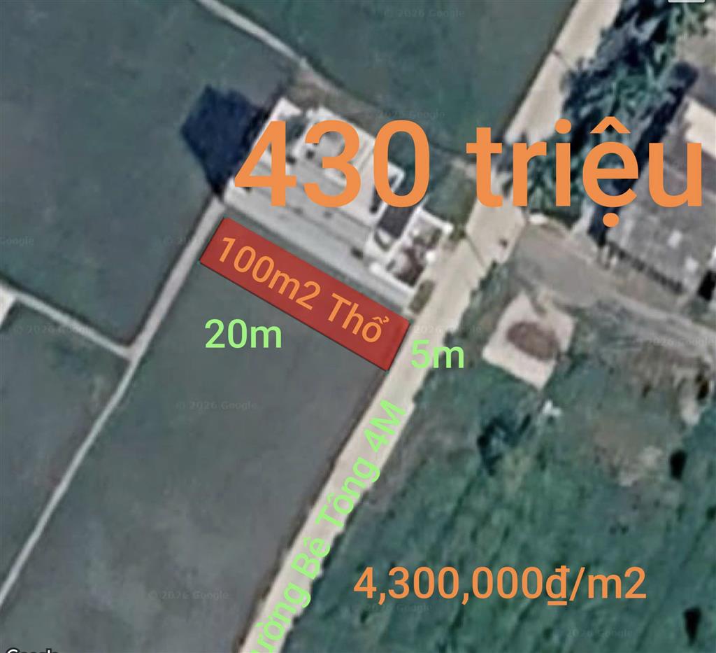 Bất động sản tại Long An - ảnh 1