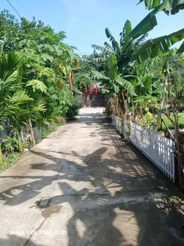 Bất động sản tại Khánh Hòa - ảnh 1