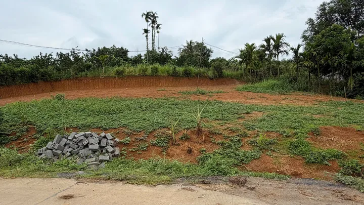 Bất động sản tại Phú Thọ - ảnh 1