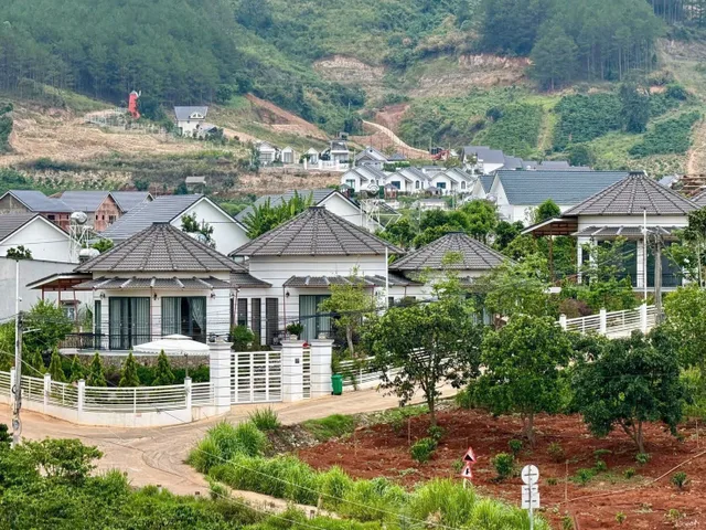 Bất động sản tại Lâm Đồng - ảnh 1