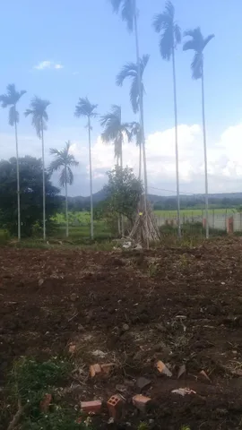 Bất động sản tại Đắk Lắk - ảnh 1