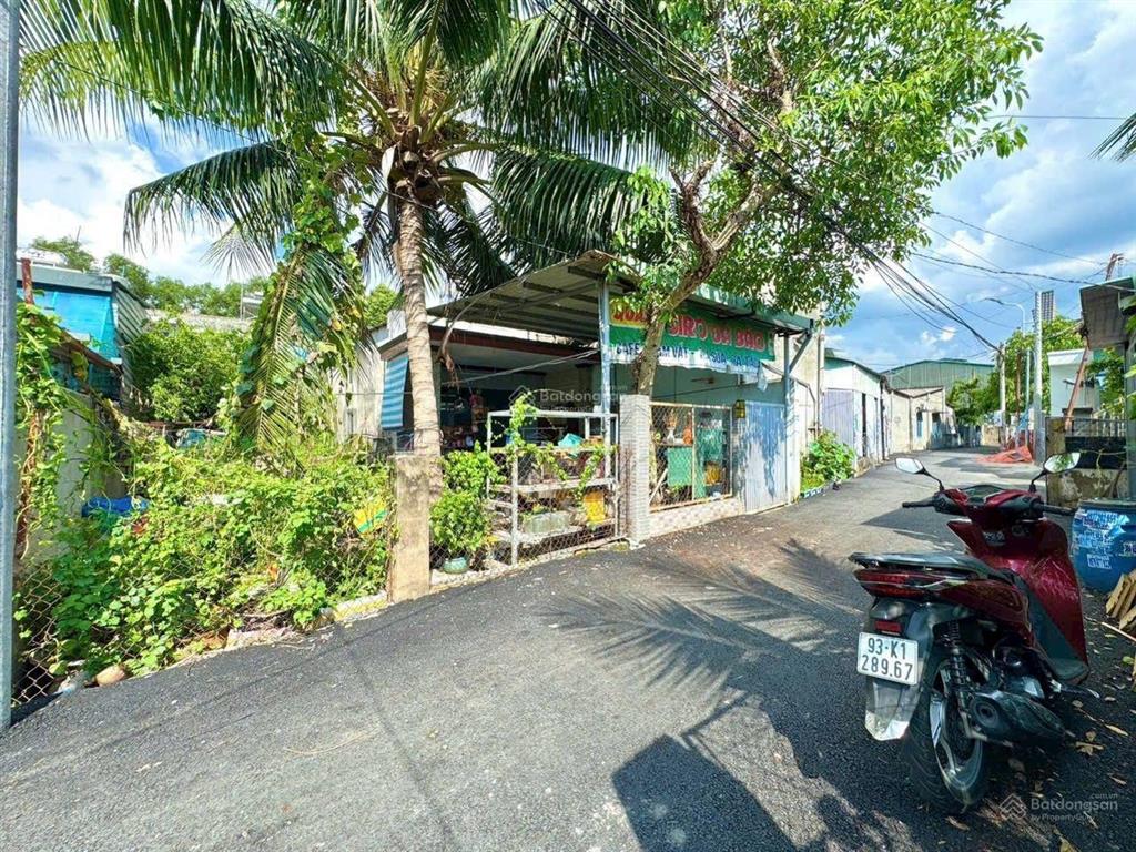 Bất động sản tại Bình Dương - ảnh 1
