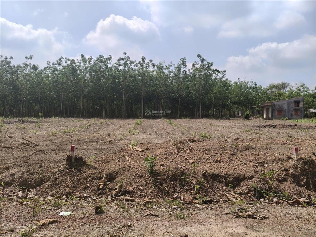 Bất động sản tại Bình Phước - ảnh 1
