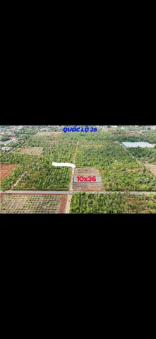 Bất động sản tại Đắk Lắk - ảnh 1
