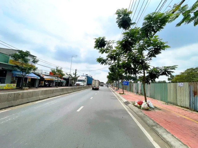 Bất động sản tại TP. Hồ Chí Minh - ảnh 1