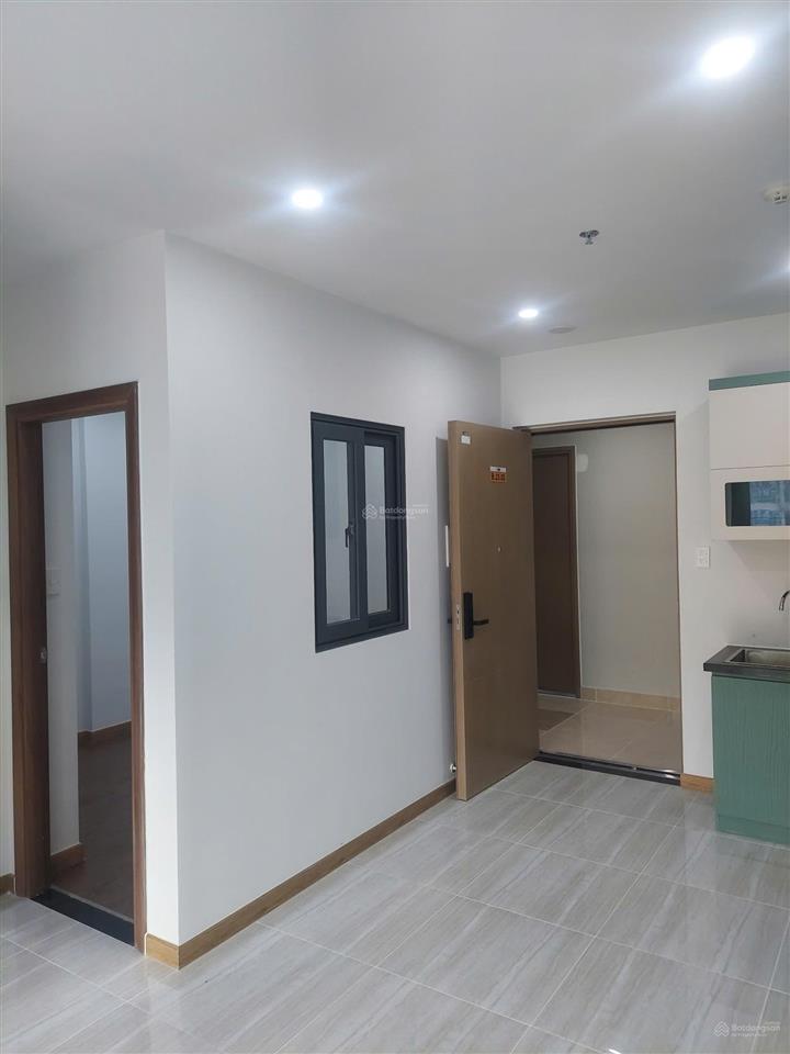 Bất động sản tại Bình Dương - ảnh 1