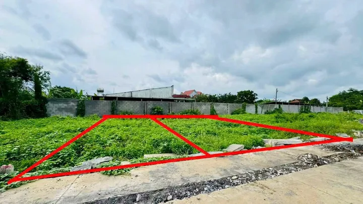 Bất động sản tại Đồng Nai - ảnh 1