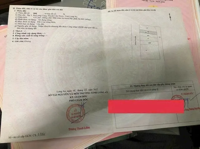 Bất động sản tại Long An - ảnh 1