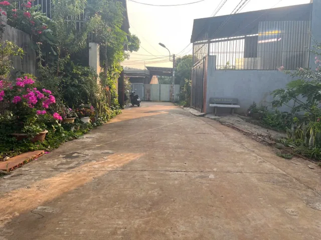 Bất động sản tại Đắk Lắk - ảnh 1