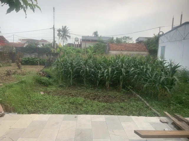 Bất động sản tại Hưng Yên - ảnh 1