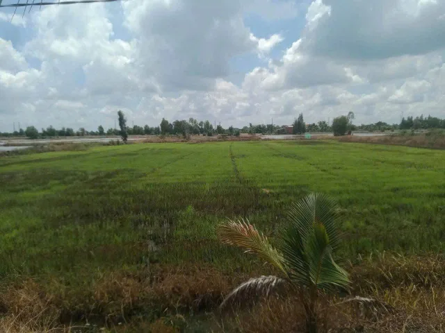 Bất động sản tại Long An - ảnh 1