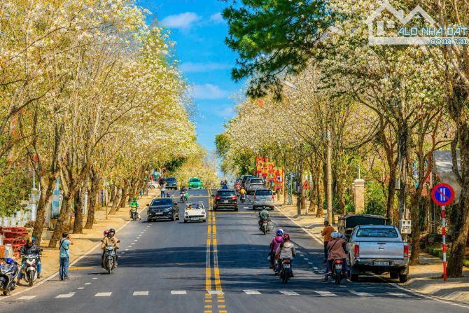 Bất động sản tại Lâm Đồng - ảnh 1