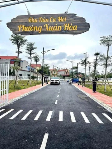 Bất động sản tại Vĩnh Phúc - ảnh 1