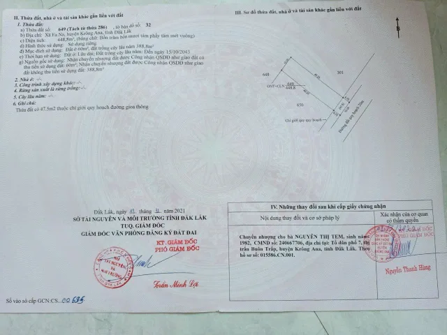 Bất động sản tại Đắk Lắk - ảnh 1