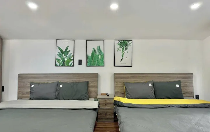 Bất động sản tại Lâm Đồng - ảnh 1