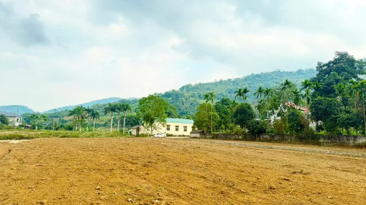 Bất động sản tại Phú Thọ - ảnh 1