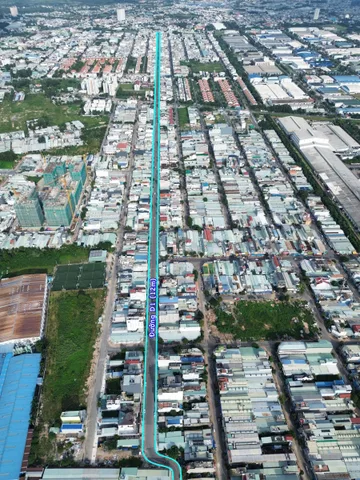Bất động sản tại Bình Dương - ảnh 1