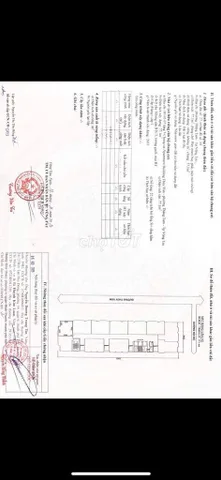 Bất động sản tại Bà Rịa - Vũng Tàu - ảnh 1