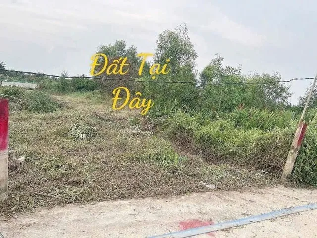 Bất động sản tại Tây Ninh - ảnh 1