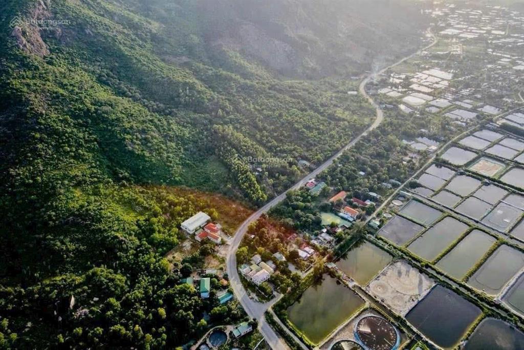Bất động sản tại Khánh Hòa - ảnh 1