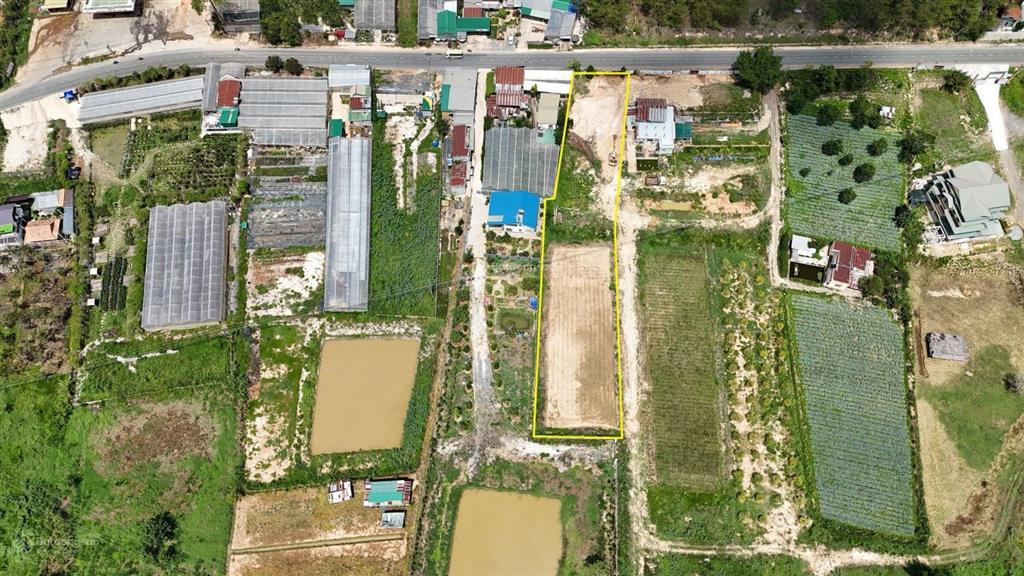 Bất động sản tại Lâm Đồng - ảnh 1