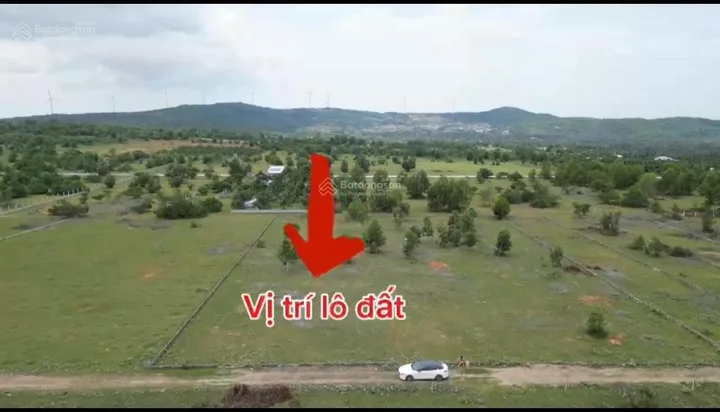Bất động sản tại Lâm Đồng - ảnh 1