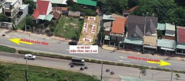 Bất động sản tại Bình Dương - ảnh 1