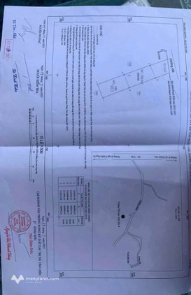 Bất động sản tại Bình Dương - ảnh 1