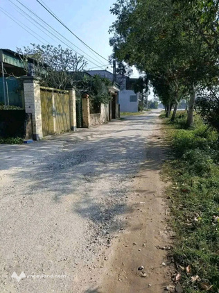 Bất động sản tại Nghệ An - ảnh 1