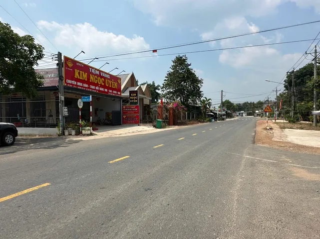 Bất động sản tại Bình Dương - ảnh 1