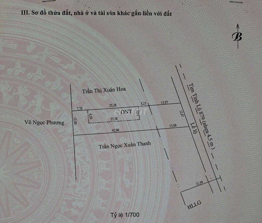 Bất động sản tại Tiền Giang - ảnh 1