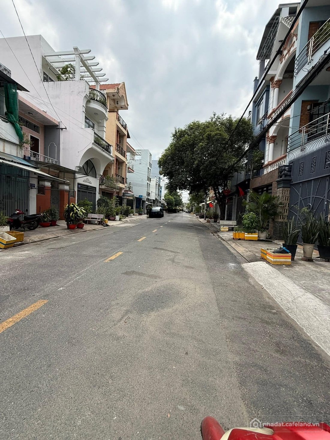 Bất động sản tại TP. Hồ Chí Minh - ảnh 1