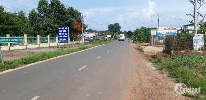 Bất động sản tại Đồng Nai - ảnh 1