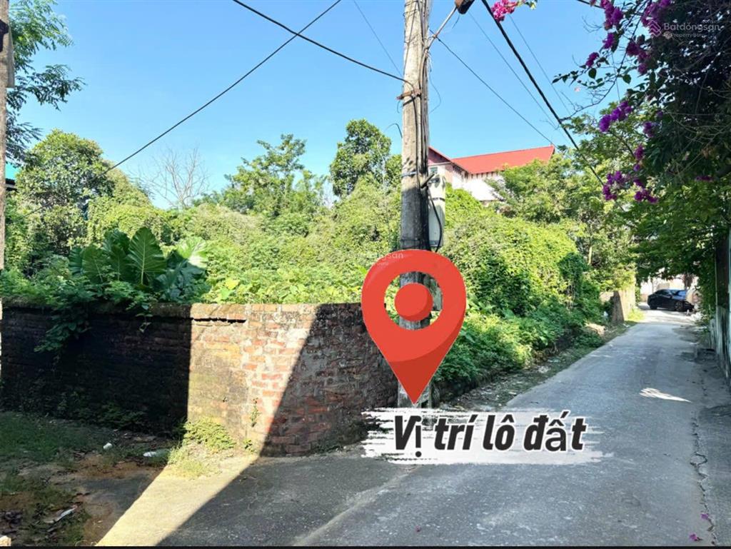 Bất động sản tại Hưng Yên - ảnh 1