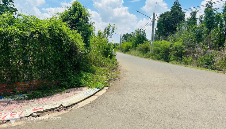 Bất động sản tại Bà Rịa - Vũng Tàu - ảnh 1