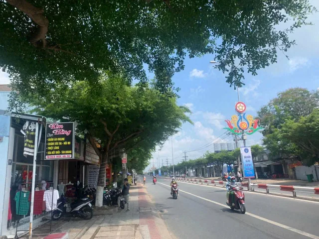 Bất động sản tại Vĩnh Long - ảnh 1