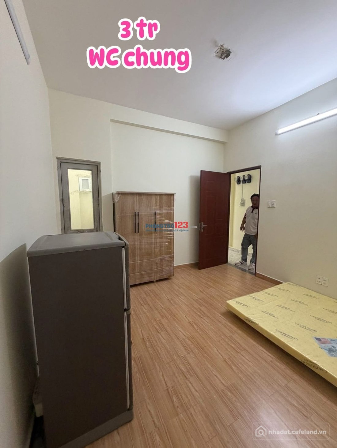 Bất động sản tại TP. Hồ Chí Minh - ảnh 1