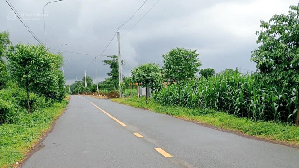 Bất động sản tại Bà Rịa - Vũng Tàu - ảnh 1