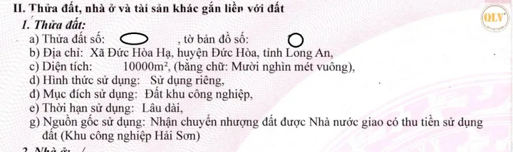 Bất động sản tại Long An - ảnh 1